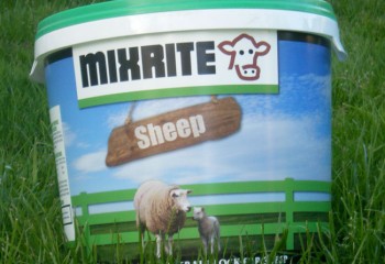 Mixrite Sheep